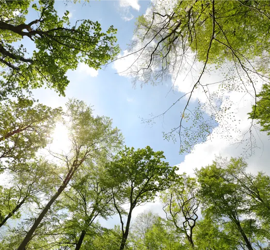 eVONEL - für eine saubere Umwelt in der Zukunft